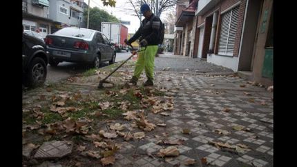 multaran a los vecinos que no corten el pasto o tiren escombros en la vereda