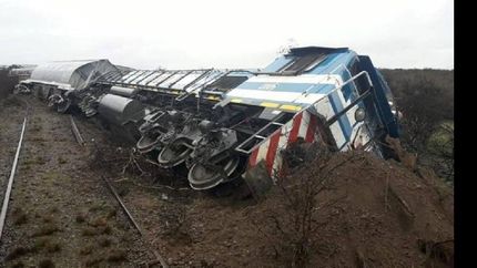 un tren descarrilo al chocar contra una vaca