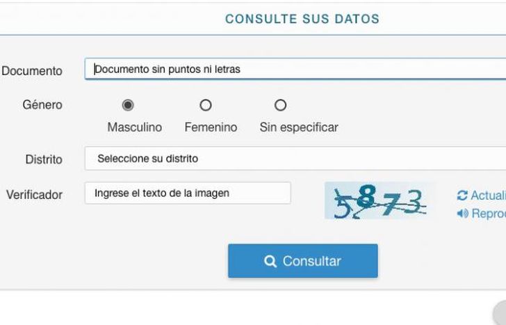 Hay que ingresar DNI, género y distrito.