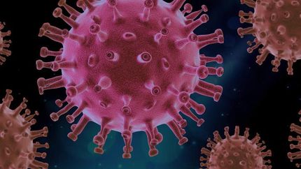 La función de los ovarios se ve afectada por el Covid-19.