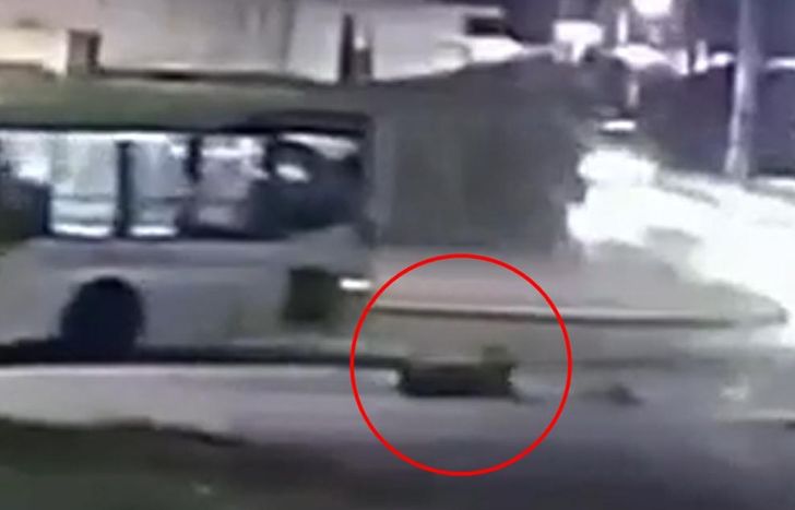 El hecho quedó filmado.