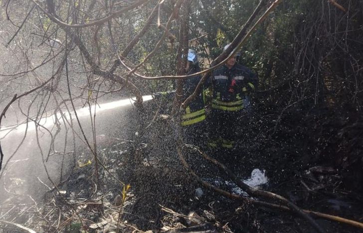 Los bomberos tuvieron una complicada tarea entre la basura y las ramas.