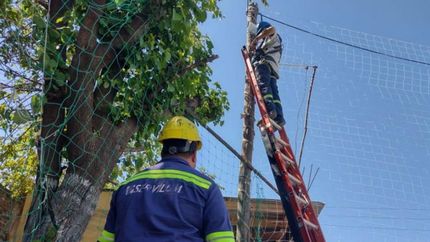 instalan y renuevan luminarias led en los distintos barrios de lomas