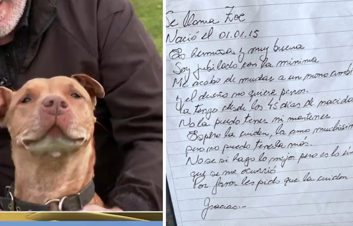 La historia de Zoe conmueve a todo Monte Grande donde tratan de localizar al jubilado que dejó a su perra en El Campito Refugio.&nbsp;
