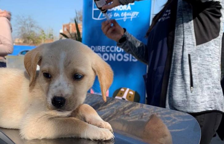 Siguen las recorridas por los distintos barrios.