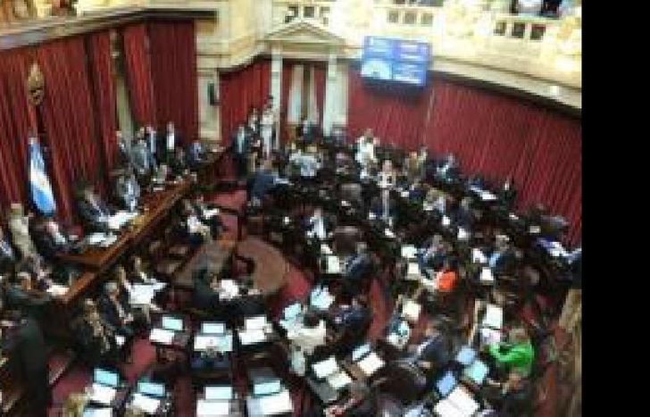 senado