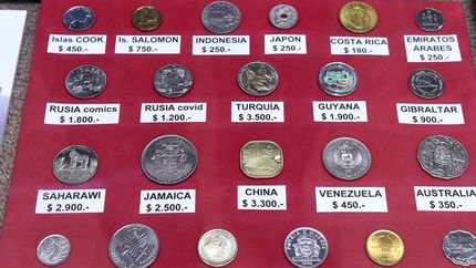 Las monedas son un elemento de colección, incluso en los niños.