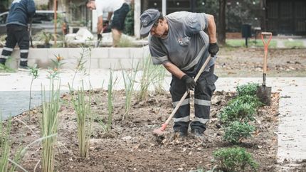 Forestación en la Plaza de los Italianos, que está siendo remodelada.
