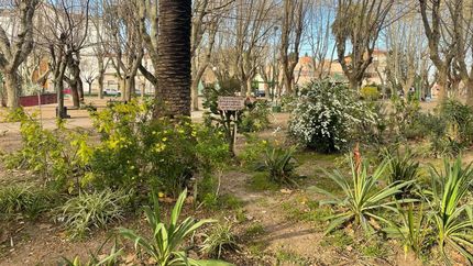 Los vecinos de Turdera lograron mantener el lugar intacto en estos seis años.&nbsp;