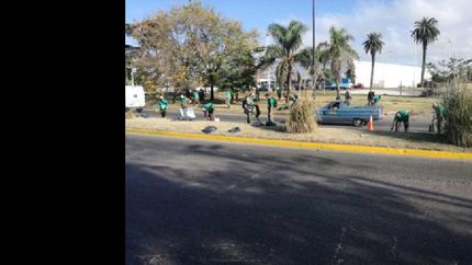 Eco Lomas: avanza la limpieza y renovación de distintos barrios