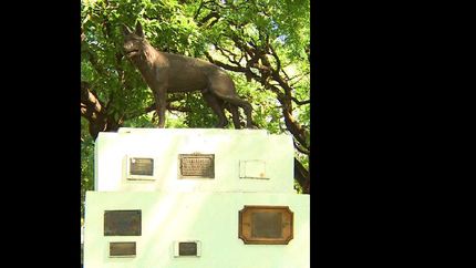en homenaje a chonino, se celebra el dia nacional del perro