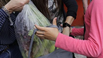 Unas 13 mil familias reciben mensualmente los alimentos.