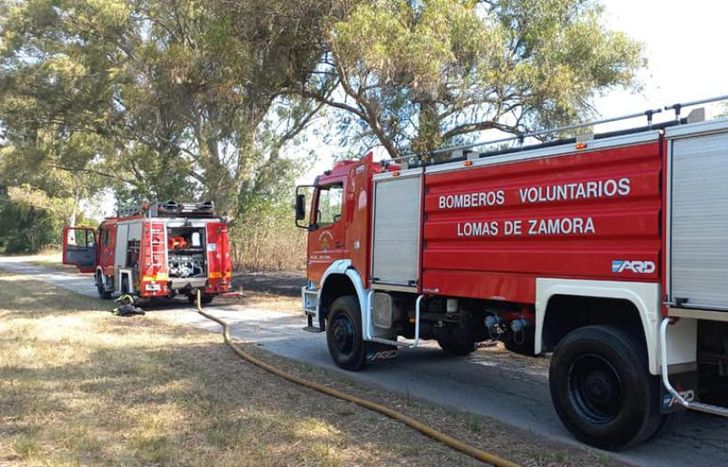 Los Bomberos Voluntarios de Lomas trabajaron en la extinción de las llamas.