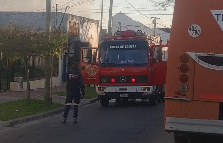 3131664.jpg