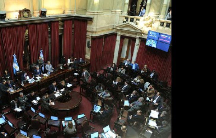 senado 4