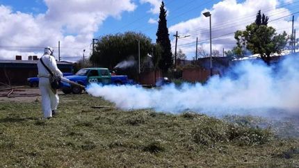 Las acciones en los distintos espacios públicos.