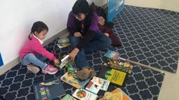 Una labor solidaria que intenta fomentar la lectura en los más chicos.
