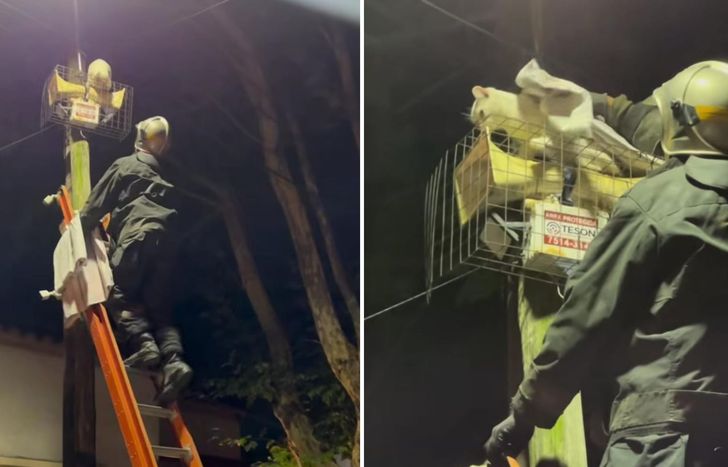 Un accionar eficaz en Temperley por parte de los Bomberos Volunarios.