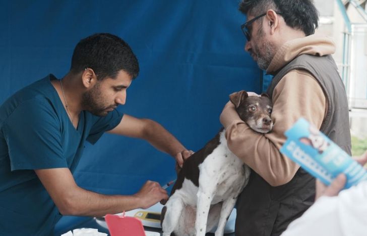 La vacuna antirrábica se aplica en el Hospital de Animales y en operativos barriales.