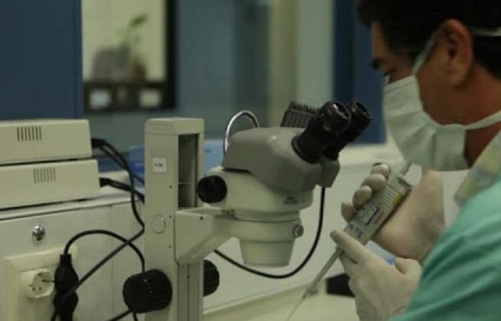 Investigadores argentinos neutralizan el Covid.