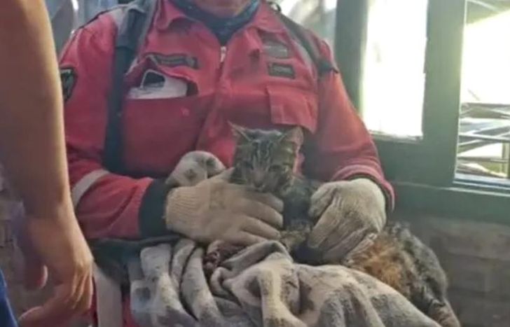 Kiara fue rescatada con vida después de ocho días.