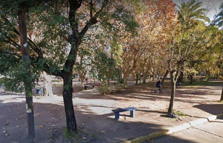 Fue en la Plaza San Martín, en Turdera.