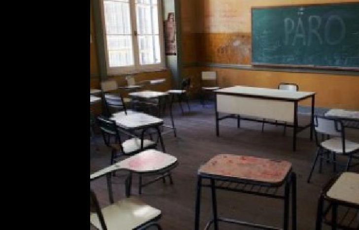 docentes