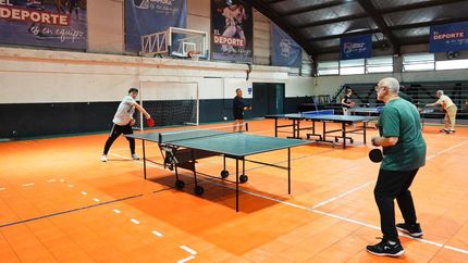Los lunes y miércoles hay clases de ping pong o tenis de mesa. Los lunes y miércoles hay clases de ping pong o tenis de mesa.
