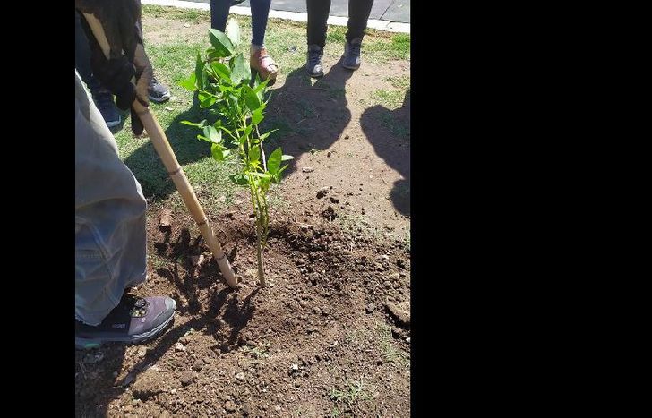 ya se desplegaron múltiples operativos a lo largo del año.