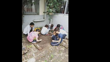 proyecta huerta en la primaria nº20