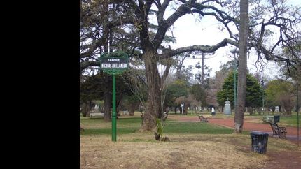 mujer detenida por envenenar perros