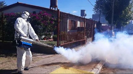 lomas: protegen del dengue a los jubilados con operativos especiales