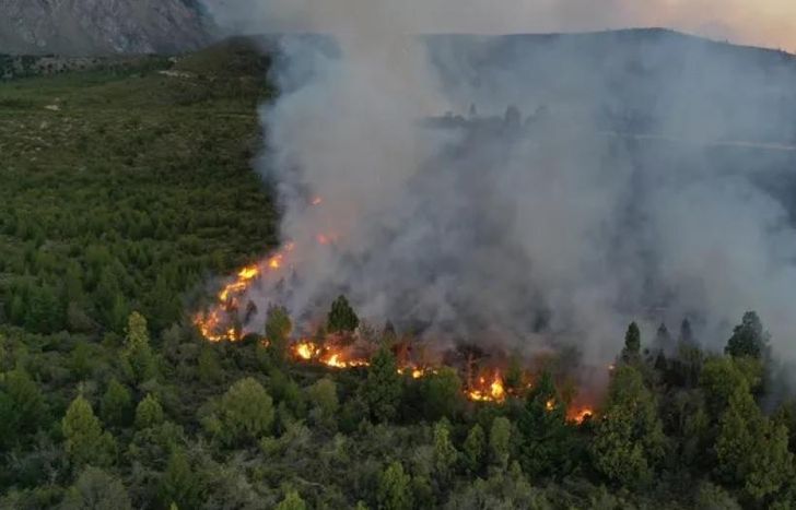 Las llamas no pueden ser controladas y hay cada vez más afectados.