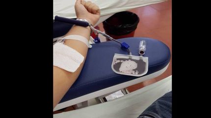 nueva jornada de colecta de sangre para el garrahan