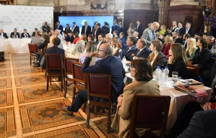 El Senado entró en cuarto intermedio y comienza a trabarse la Ley Bases de Javier Milei.