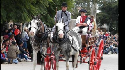 se viene la fiesta del carruaje de san vicente