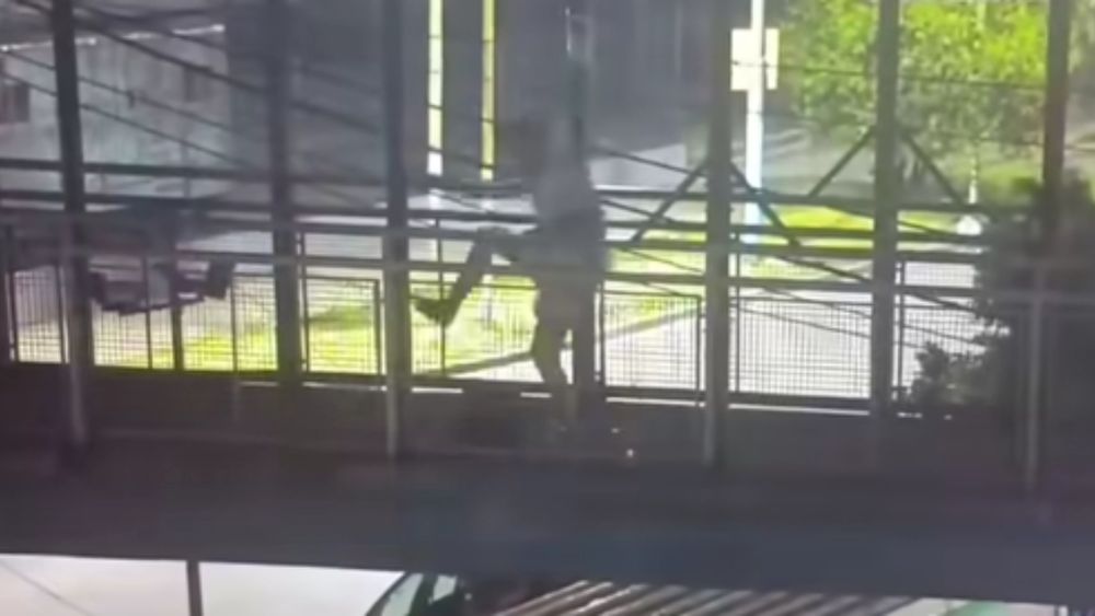 La mujer fue vista por el Centro de Monitoreo de Lomas de Zamora. La mujer fue vista por el Centro de Monitoreo de Lomas de Zamora.