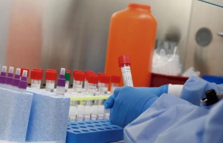 En las últimas 24 horas 56.334 testeos.