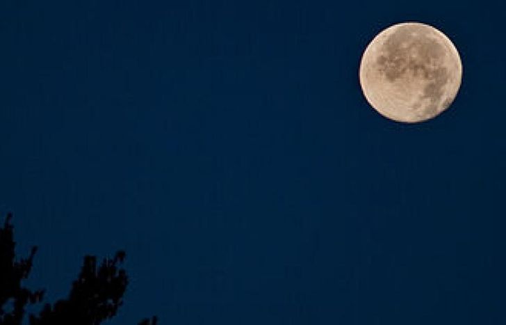 Si bien será visible en toda Argentina, la Patagonia tiene mejores condiciones.