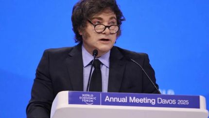 Califican el discurso de Javier Milei en Davos como una verdadera ofensa