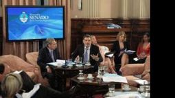 senado