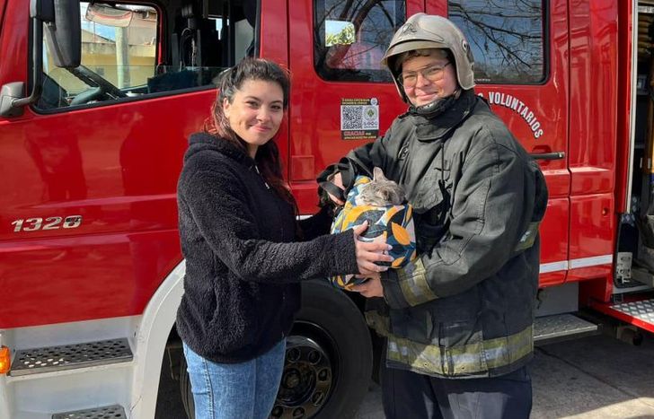 El gato fue entregado sano y salvo a su dueña.