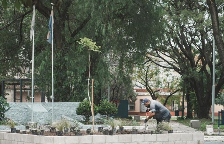 El programa Forestar en Comunidad se despliega en todo el territorio lomense.