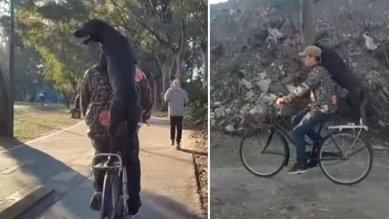 El paseo que se volvió viral en las redes sociales.