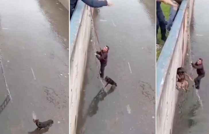 El video se viralizó en redes sociales.