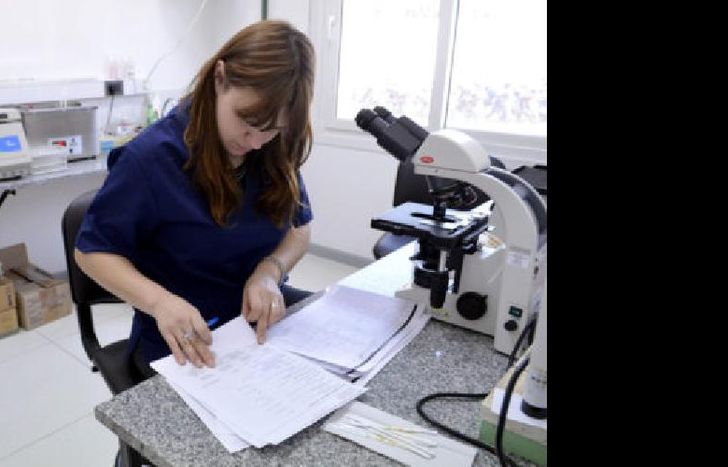 el trámite y los análisis demoran 15 minutos en promedio.