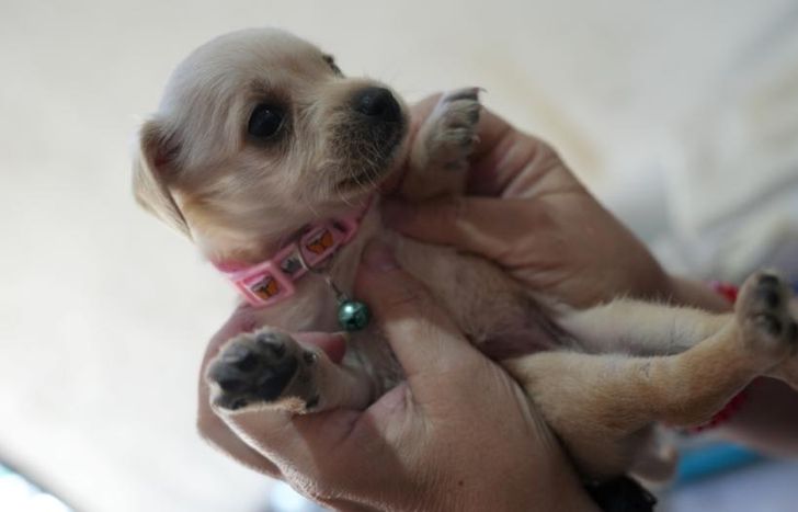 El próximo martes habrá un operativo especial en las calles Olazábal y Gorriti.