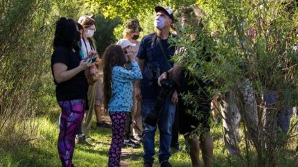 Para disfrutar del espacio natural durante todo febrero. Para disfrutar del espacio natural durante todo febrero.