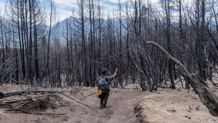 Brigadistas, bomberos, voluntarios y pobladores siguen trabajando.