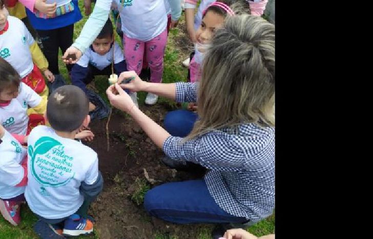 plantaron 30 árboles de especies como ceibos y guaraníes.